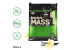 Optimum Nutrition Serious Mass Weight Gainers/Mass Gainers  (5.44 kg, Vanilla)